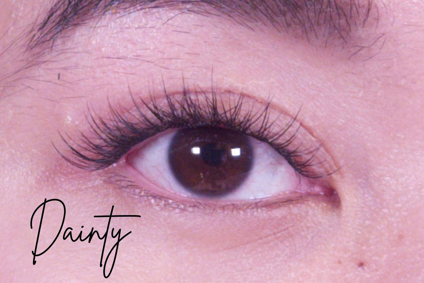 Dainty | 120 clusters