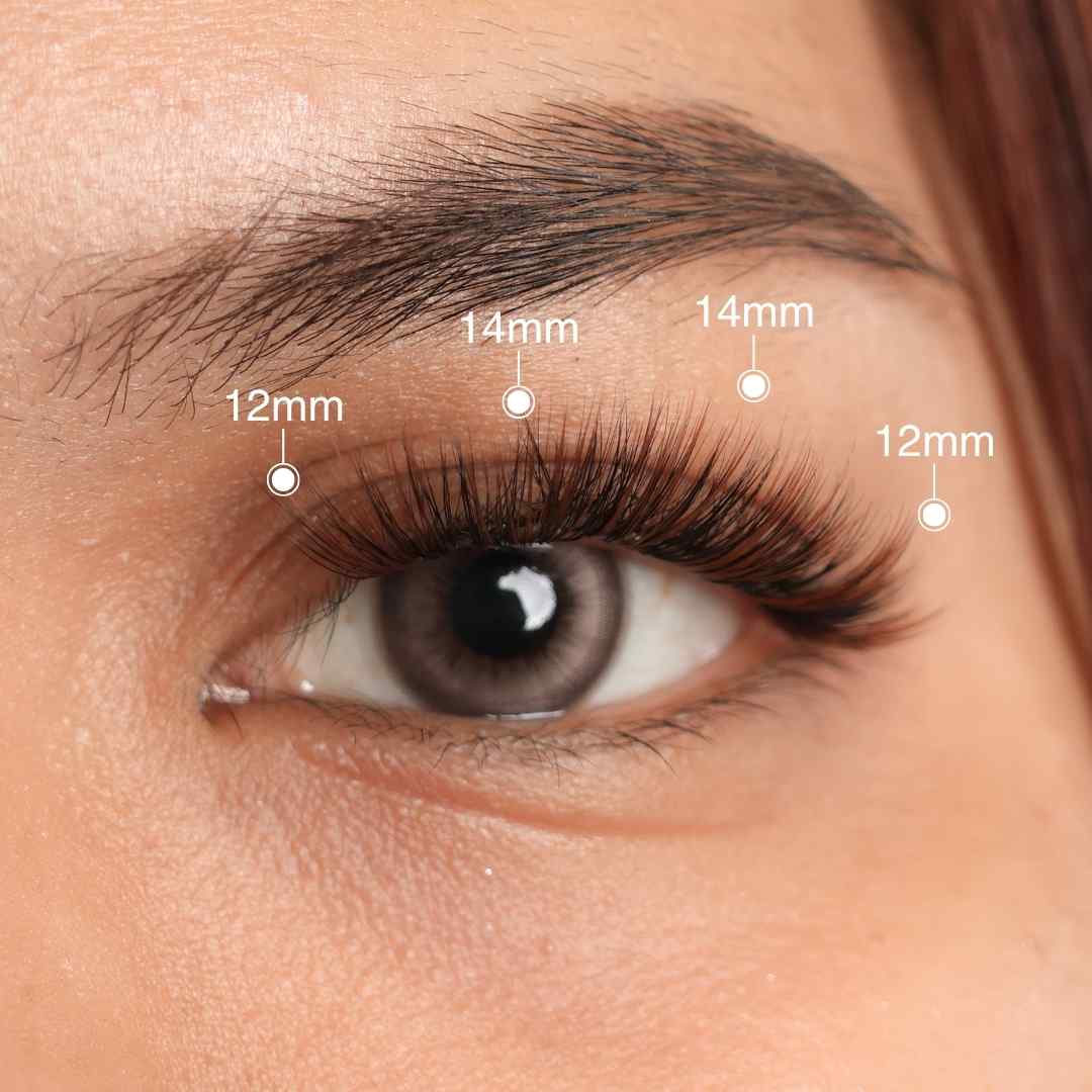 Sepia | Premium Preglued Half-lash | 4-set | 5-7 Day Stay