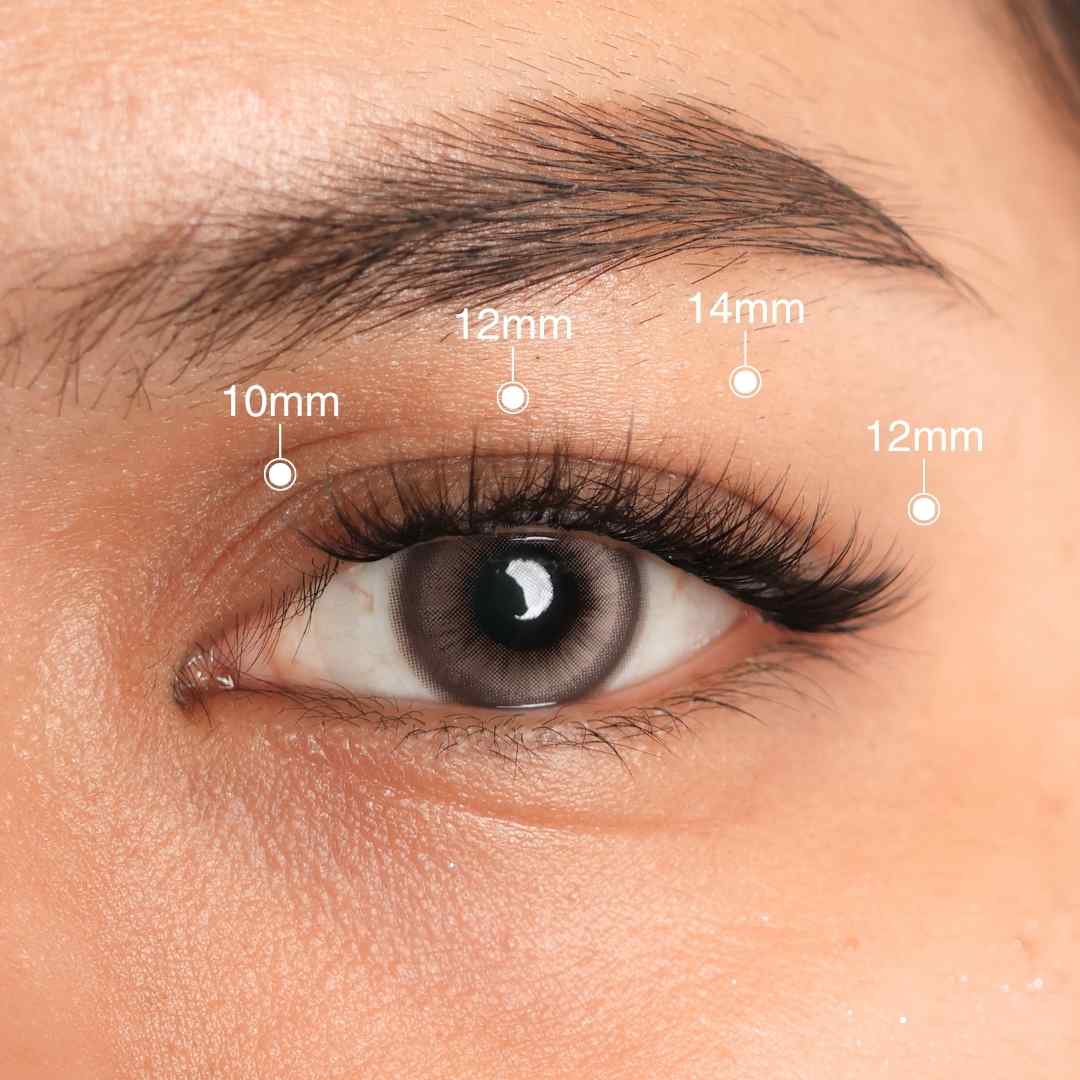 Whisper | Premium Preglued Half-lash | 4-set | 5-7 Day Stay